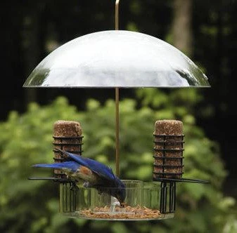 Super Dome Bird Feeder - Image 2