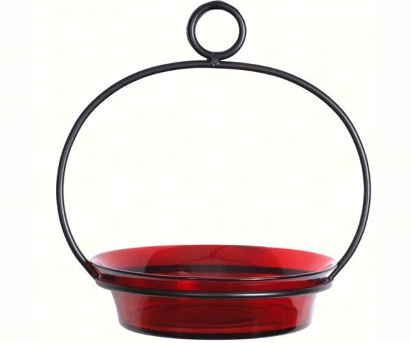 Glass Globe Dish Feeder/Mini-Bath- Red Or Lime - Image 3