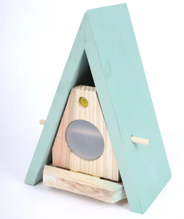 Butterfly Biome Habitat - Image 2