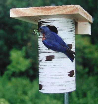 Gilbertson Nest Box - NABS Approved