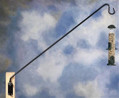 Extended Reach Wall Bracket-36 Inch