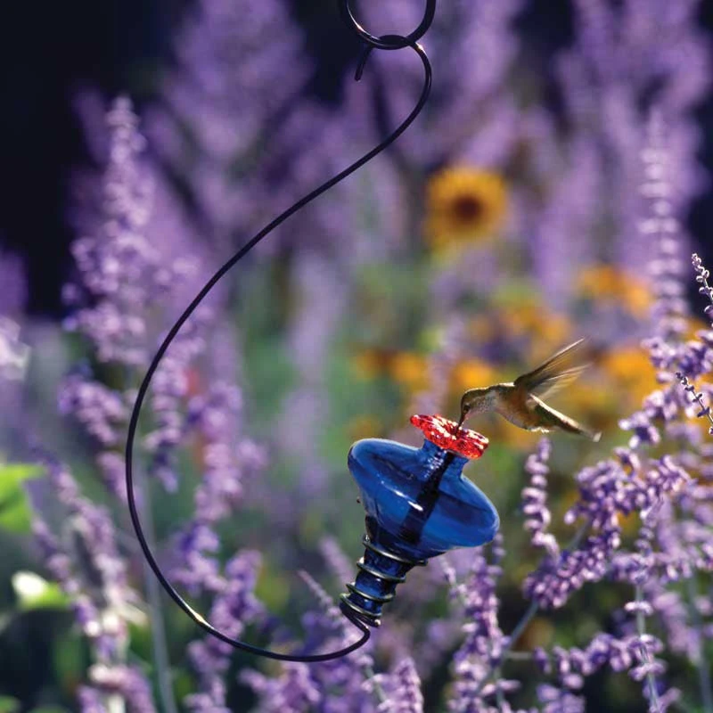 Mini-Blossom Hummingbird Feeder-Hanging - Image 4