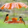 Oriolefest Oriole Bird Feeder