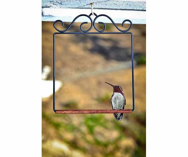 Pop's Hummingbird Swing - Image 3