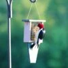 Recycled Tail Prop Suet Feeder