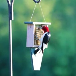 Recycled Tail Prop Suet Feeder