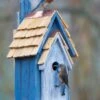 Rustic Bluebird Manor 2 Colors