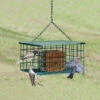 Squirrel-Proof Suet Feeder