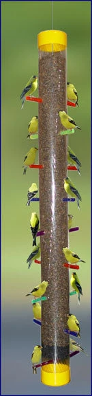 Super Rainbow Finch Feeder