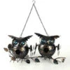 Two Owls On Branch Birdhouse