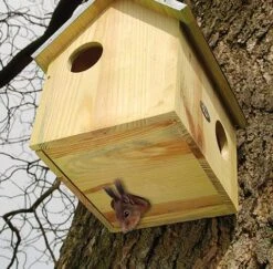 ESSCHERT DESIGN Squirrel House With Bottom Entry
