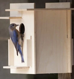 Box For Birds Birdhouse Kit- Modern
