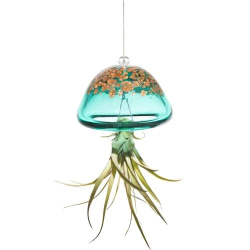 Jellyfish Air Plant Hangers Set/3 - Image 4