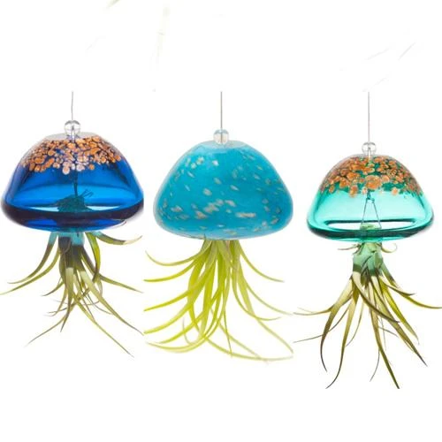 Jellyfish Air Plant Hangers Set/3