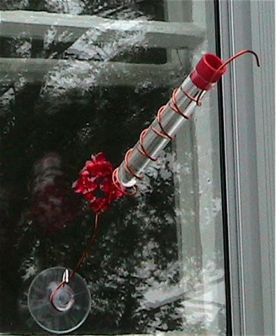 Charmer Hand-Held Hummingbird Feeder Set - Image 4