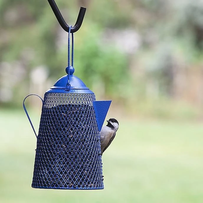 Teapot Bird Feeder- Peanuts/Sunflower