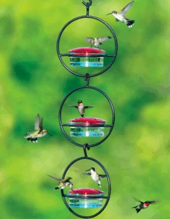 Triple Orb Glass Hummingbird Feeder
